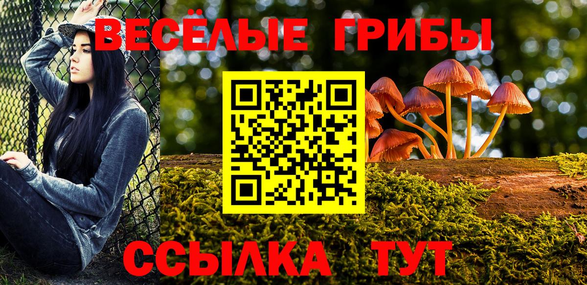 Вольск  наркота  Вход с VPN  Псилоцибиновые грибы ЛСД  Галлюциногенные грибы GOLDEN TEACHER 